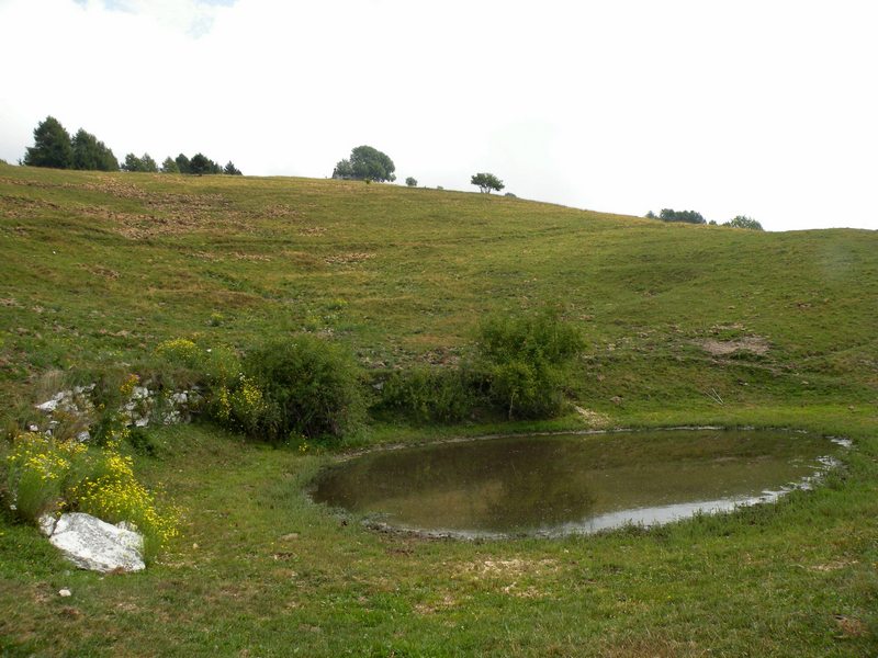 Una domanda sugli Ululoni